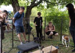 25 Jahre Tierheim In Jena Jubilaeum Mit Grossem Fest Gefeiert 08